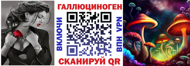 Псилоцибиновые грибы Magic Shrooms  Купить где  Новочеркасск 